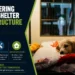 The Pickering Animal Shelter Infrastructure Project 2026 animal shelter