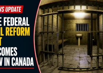 bail reform