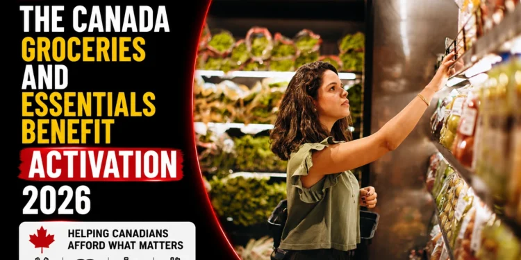 canada groceries