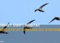 Chimney Swift Habitat Now Complete at Future Oshawa GO Station