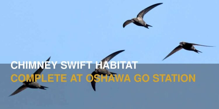 Chimney Swift Habitat Now Complete at Future Oshawa GO Station