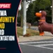 community legend