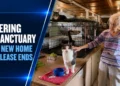 Pickering Cat Sanctuary Seeks New Home After Lease Ends