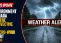 environment sever alert