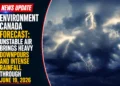 forecast