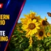 june climate