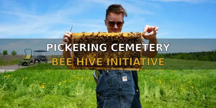 Pickering Cemetery Joins GTA Bee Hive Initiative To Protect Pollinators PICKERING CEMETERY BEE HIVE INITIATIVE