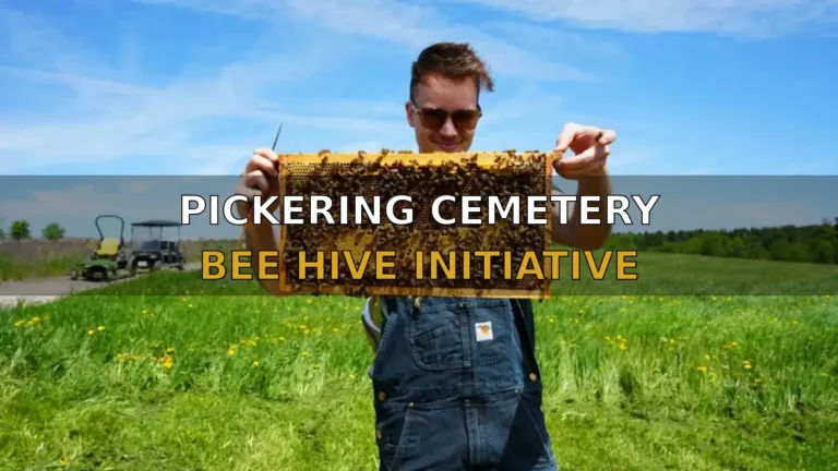 PICKERING CEMETERY BEE HIVE INITIATIVE