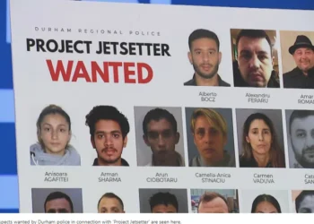 project jetsetter wanted