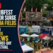ribfest braces