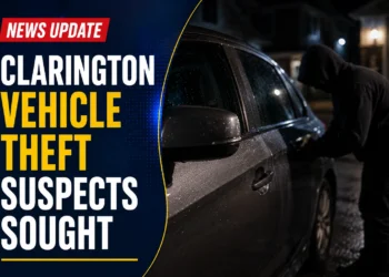 vehicle theft suspects