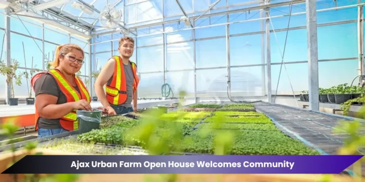 ajax urban farm open house welcomes community