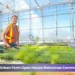 ajax urban farm open house welcomes community