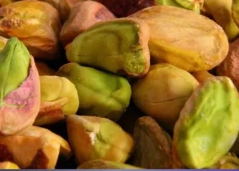 Canada Pistachio Salmonella Outbreak Ends After 200 Cases canada pistachio salmonella outbreak ends after 200 cases 350x350