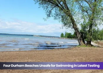 four durham beaches unsafe for swimming in latest testing