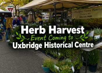 herb harvest event coming to uxbridge historical centre