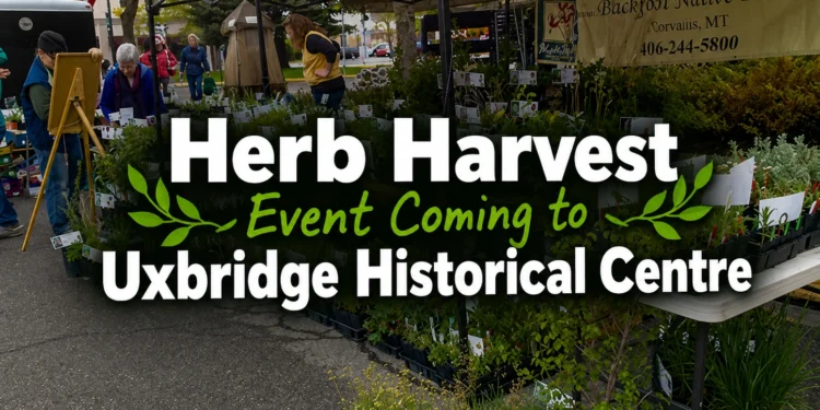 herb harvest event coming to uxbridge historical centre