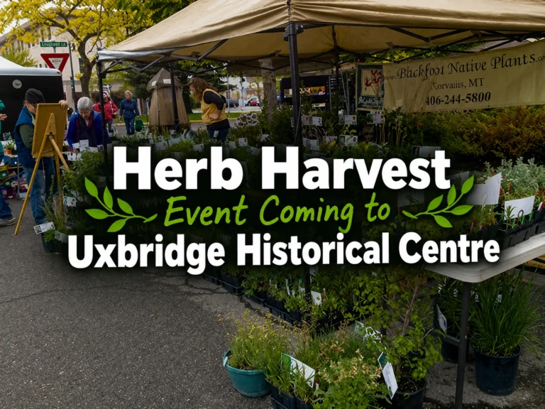 herb harvest event coming to uxbridge historical centre