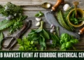 herb harvest event at uxbridge historical centre