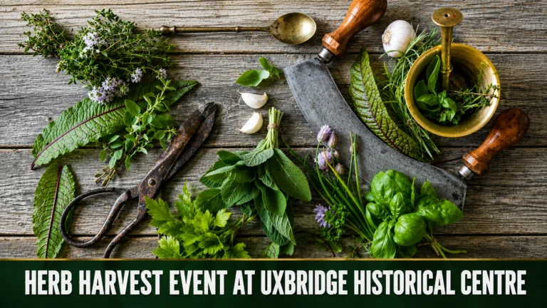 herb harvest event at uxbridge historical centre