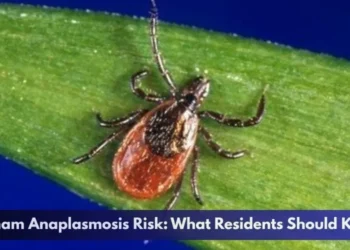 Durham Anaplasmosis Risk: What Residents Should Know