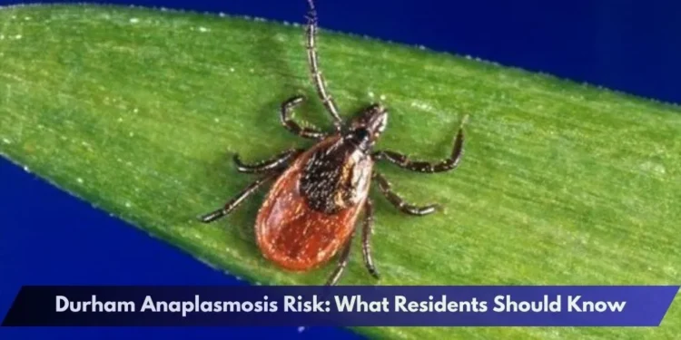 Durham Anaplasmosis Risk: What Residents Should Know Durham Anaplasmosis Risk: What Residents Should Know