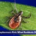 Durham Anaplasmosis Risk: What Residents Should Know Durham Anaplasmosis Risk: What Residents Should Know