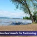 Durham Beaches Unsafe for Swimming on July 19 Durham Beaches Unsafe for Swimming on July 19