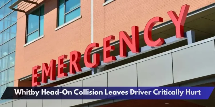 Whitby Head-On Collision Leaves Driver Critically Hurt Whitby Head-On Collision Leaves Driver Critically HurtWhitby Head-On Collision Leaves Driver Critically Hurt