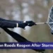 Clarington Roads Reopen After Storm Damage