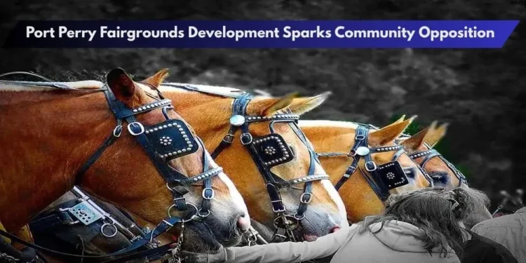 Port Perry Fairgrounds Development Sparks Community Opposition