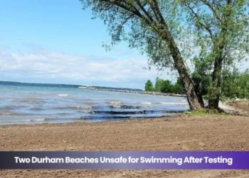 two durham beaches unsafe for swimming after testing (1)