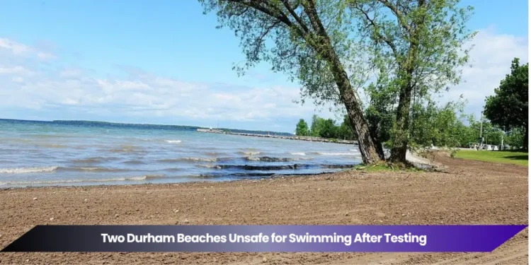 two durham beaches unsafe for swimming after testing (1)