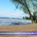 Two Durham Beaches Unsafe for Swimming After Latest Testing two durham beaches unsafe for swimming after testing (1)