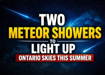 two meteor showers to light up ontario skies this summer
