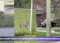 whitby coyote attacks prompt special council safety meeting response