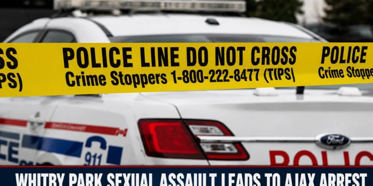 Ajax Man Charged Following Violent Sexual Assault at Whitby Park whitby park sexual assault leads to ajax arrest