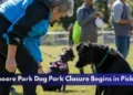 Dunmoore Park Dog Park Closure Begins in Pickering