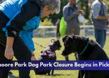 Dunmoore Park Dog Park Closure Begins in Pickering