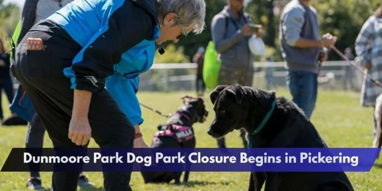 Dunmoore Park Dog Park Closure Begins in Pickering