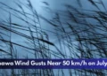 Oshawa Wind Gusts Near 50 km/h on July 29