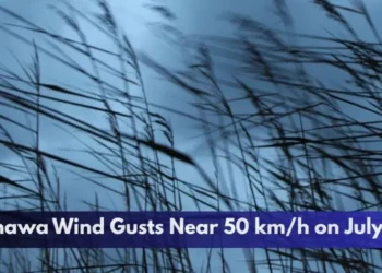 Oshawa Wind Gusts Near 50 km/h on July 29 Oshawa Wind Gusts Near 50 km/h on July 29