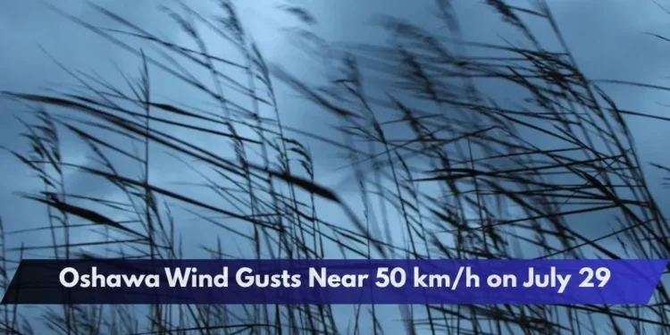 Oshawa Wind Gusts Near 50 km/h on July 29