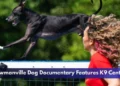 Bowmanville Dog Documentary Features K9 Central Bowmanville Dog Documentary Features K9 Central