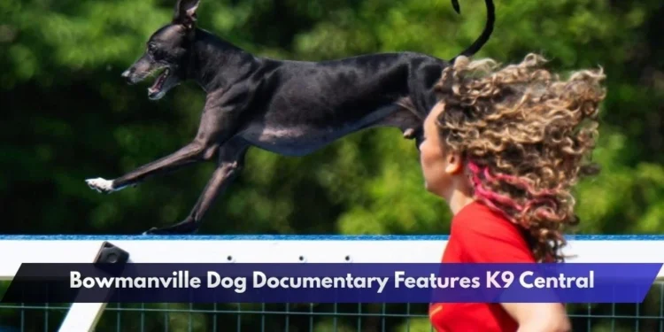 Bowmanville Dog Documentary Features K9 Central