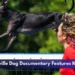 Bowmanville Dog Documentary Features K9 Central Bowmanville Dog Documentary Features K9 Central