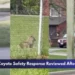 Whitby Coyote Safety Response Reviewed After Attacks