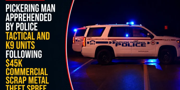 Pickering Man Apprehended by Police Tactical and K9 Units Following $45K Commercial Scrap Metal Theft Spree in Ajax pickering man