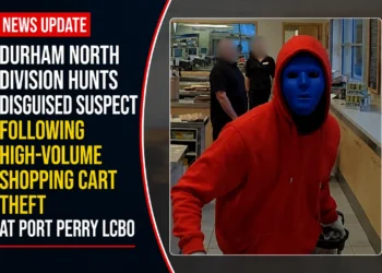 shopping cart theft