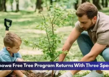 Oshawa Free Tree Program Returns With Three Species Oshawa Free Tree Program Returns With Three Species